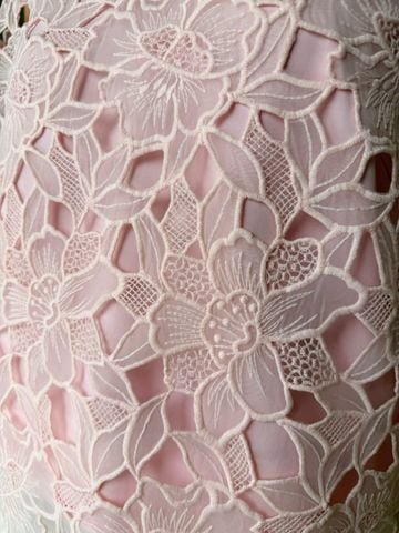  (MỚI) Áo tay phồng ren organza Hồng 