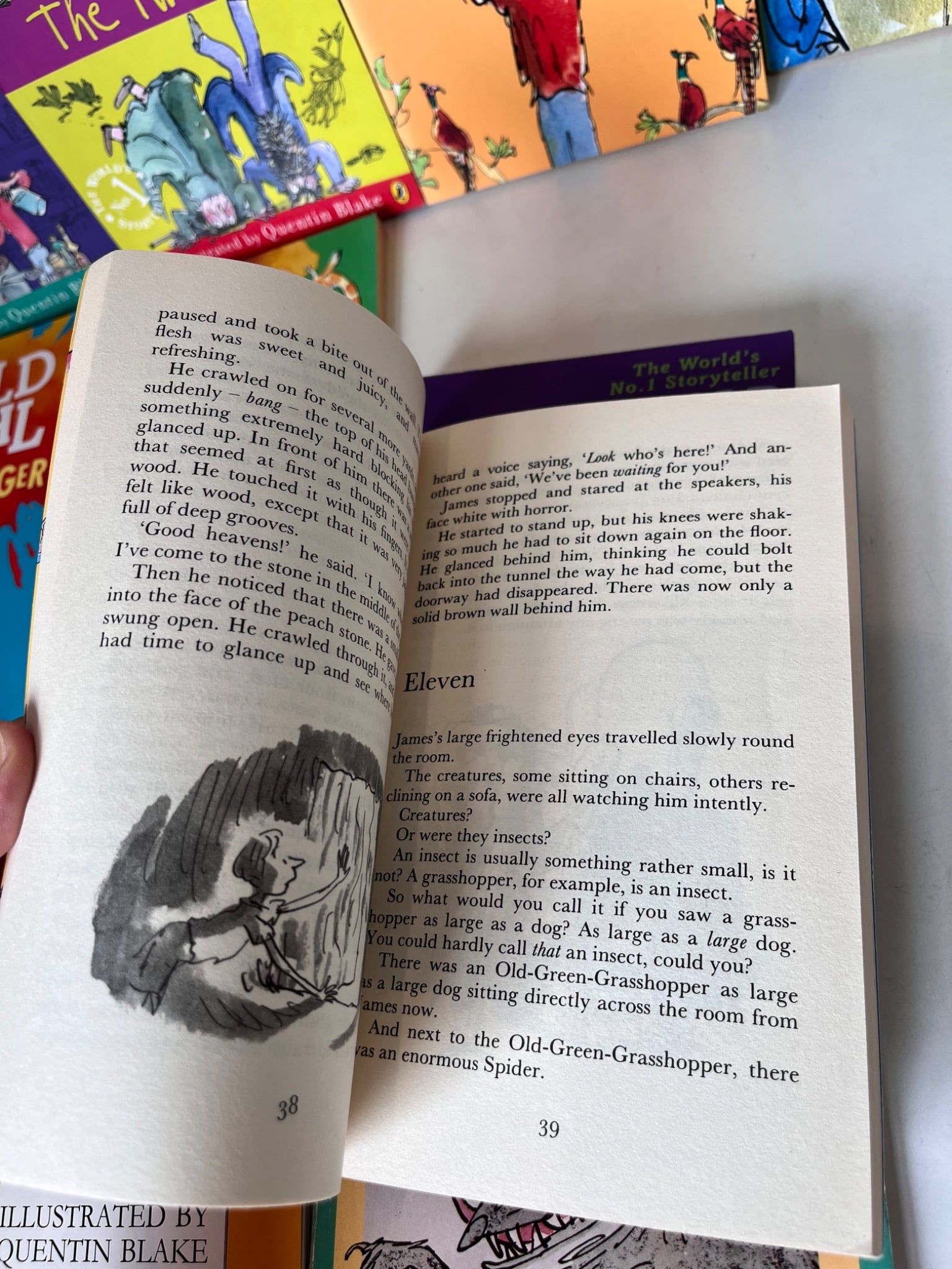 📍Roald Dahl Collection – by Roald Dahl 15pcs – Summer Libra