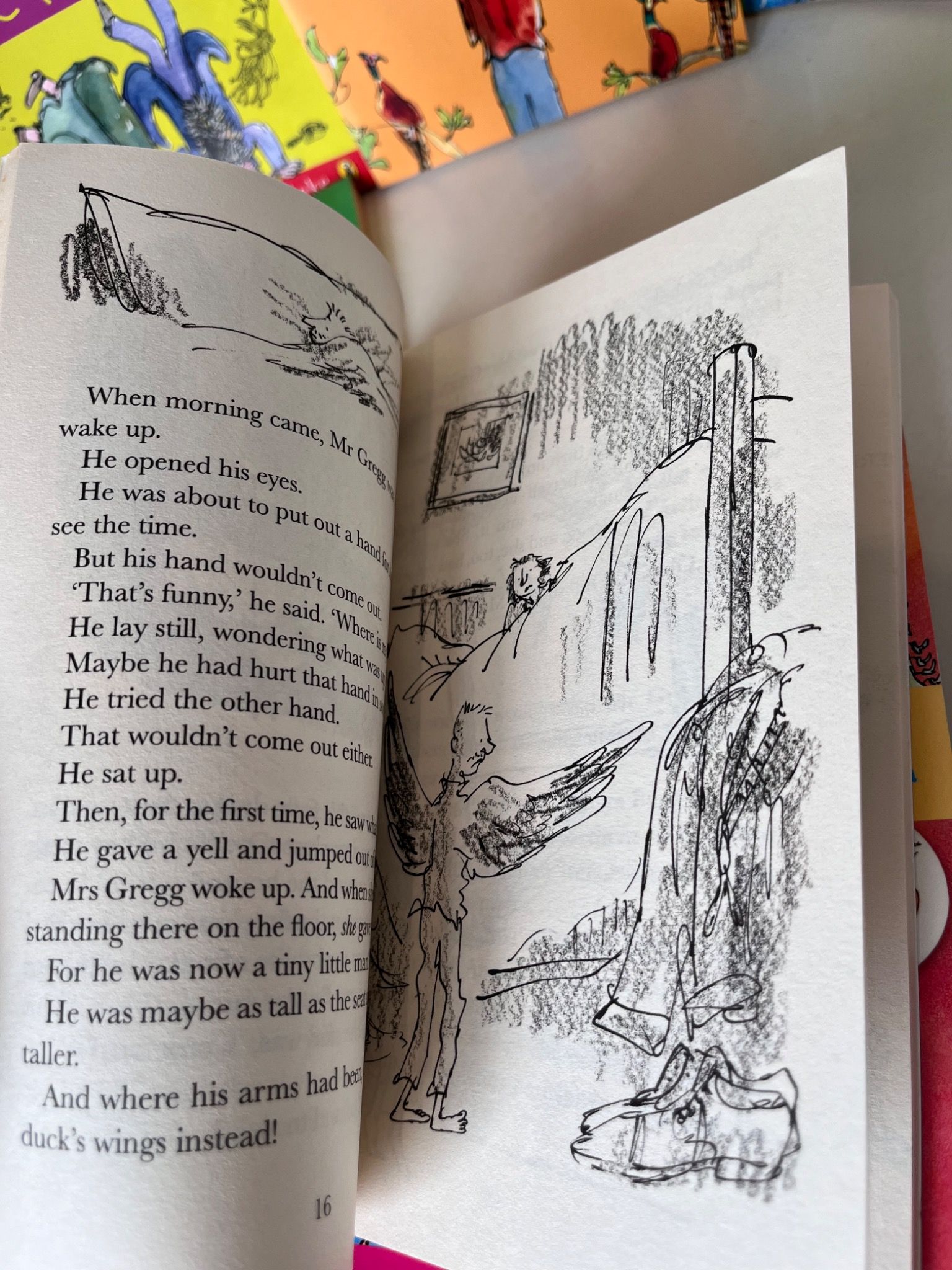 📍Roald Dahl Collection – by Roald Dahl 15pcs – Summer Libra