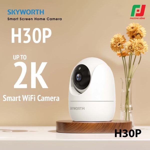  CAMERA SKYWORTH H30P 3MP 