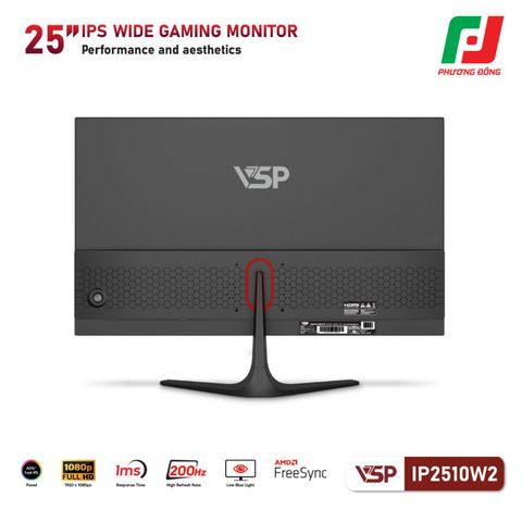  MÀN HÌNH VSP IP2510W2 24.5