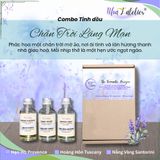  Set tinh dầu 30ml by Nhã L'atelier The Nolstagia of Bloom, The Romantic Horizon, A Serene Ballad 