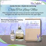  Set 1 chai khuếch tán & 1 tinh dầu by Nhã L’Atelier - Set The Nostalgia of Bloom, A Serene Ballad, The Romantic Horizon 