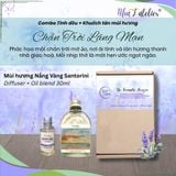  Set 1 chai khuếch tán & 1 tinh dầu by Nhã L’Atelier - Set The Nostalgia of Bloom, A Serene Ballad, The Romantic Horizon 
