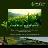  Trà Du Nhiên (ướp hoa Dành Dành) - Ô long Nghệ nhân, Sơn La - Vân Nhiên, Hộp thiếc 100 gr 