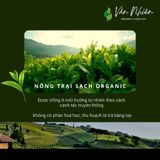  Combo Trà Ô Long Xanh - Ô long Đài Loan, Cầu Đất - Vân Nhiên, Hộp thiếc 2 túi seal 100gr 