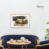  Tranh Màu nước Quê - họa sĩ Hồ Hưng 
