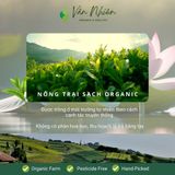  Trà Hoa Combo 1 (Vườn Hoa Tĩnh Lặng & Mặt Hồ An Nhiên, trà Hoa Nghệ Nhân - Vân Nhiên, 2 Hộp thiếc 60gr 