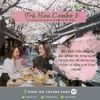  Trà Hoa Combo 3 (Hương Sắc Kyoto & Mặt Hồ An Nhiên), trà Hoa Nghệ Nhân - Vân Nhiên, Hộp giấy 2 hộp thiếc 60gr 