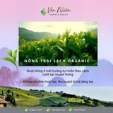 Đông Phương Mỹ Nhân (Bạch Hào Ô Long), trà Ô Long Đài Loan Nghệ nhân thượng hạng - Hộp thiếc 60gr 