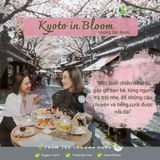  Trà Hương sắc Kyoto, trà hoa Nghệ nhân - Vân Nhiên, Hộp thiếc 60gr 