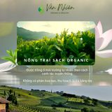  Trà Mặt hồ An Nhiên, trà hoa Nghệ nhân - Vân Nhiên, Hộp thiếc 60gr 