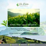  Trà Shan Tuyết (1 búp 1 lá), trà đen cổ thụ Hà Giang thượng hạng - Vân Nhiên, Hộp thiếc 60gr 