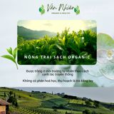  Trà vườn Hoa Tĩnh Lặng, trà hoa Nghệ nhân - Vân Nhiên, Hộp thiếc 60gr 