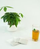  Cà gai leo xạ đen Sadu 1kg - Hỗ trợ ngăn ngừa UT, mát gan 