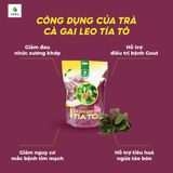  Trà túi lọc cà gai leo tía tô 