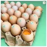  [COMBO 3 TẶNG 1] Trứng gà thảo dược Sadu 