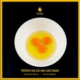  Combo 3 hộp trứng tặng 1 hộp trứng (12 quả/hộp) 