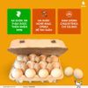 Combo 5 hộp trứng tặng 2 hộp trứng (12 quả/hộp)