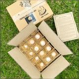  Trứng gà cà gai leo Sadu 