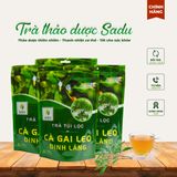  Trà cà gai leo đinh lăng 