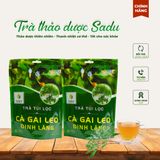  Trà cà gai leo đinh lăng 