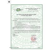  Trà Cà Gai Leo Đương Quy SADU - 100% Thảo Dược Tự Nhiên,Phú Hợp Cho Người Thể Trạng Yếu 