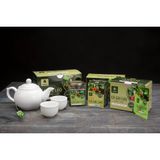  Trà giải độc gan hòa tan Cà gai leo Sadu 