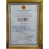  Trà Túi Lọc Xạ Đen Cà Gai Leo SaDu- Cà Gai Leo Xạ Đen Phù Hợp Cho Người Nóng Trong, 1kg 