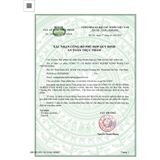  Trà cà gai leo diếp cá Sadu 1kg (4 túi x 250g) thanh nhiệt,bảo vệ lá gan,tăng cường chức năng gan 