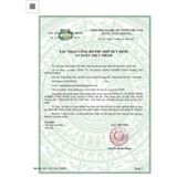  Trà Gừng Túi Lọc SADU - Phù Hợp Cho Người Hoa Mắt, Chóng Mặt, Thăng Bằng Kém 