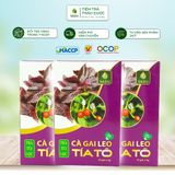  Mua 3 tặng 1 Hộp Trà Cà Gai Leo Tía Tô Túi Lọc SaDu- Phù Hợp Với Người Ăn Nhiều Đạm 