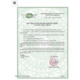  Trà cà gai leo tía tô Sadu 1 kg (combo từ 2kg tặng 1 gói 250g) 