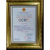  Trà túi lọc cà gai leo diếp cá Sadu gói 250g thanh nhiệt,đẹp da,bảo vệ lá gan,tăng cường chức năng gan 