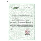  Trà túi lọc cà gai leo Tía tô sadu 500g 