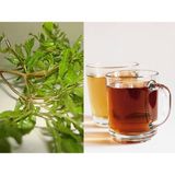  Trà đinh lăng túi lọc sadu - phù hợp cho người hoa mắt, chóng mặt, 1 Hộp (150g) 