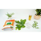  Trà Túi Lọc Cà Gai Leo Lá Ổi SaDu- Phù Hợp Cho Người Kiêng Đường, Ăn Kiêng 