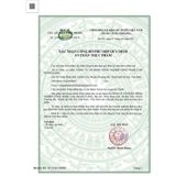  Trà Túi Lọc Xạ Đen Cà Gai Leo SaDu- Cà Gai Leo Xạ Đen Phù Hợp Cho Người Nóng Trong, 1kg 