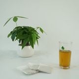  Trà Cà Gai Leo Chè Xanh SaDu- Giúp Tỉnh Táo Tinh Thần, Người Cần Tập Trung, Gói 250gram 