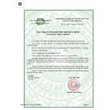  Trà Túi Lọc Cà Gai Leo Đinh Lăng Sadu 250gr(50 túi lọc)- Thư Giãnn Tinh Thần 