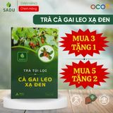  Trà Cà Gai Leo Túi Lọc  Xạ Đen Sadu 100gram - Phù Hợp Với Người Sử Dụng Rượu Bia 