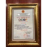  Gói 500g Trà túi lọc cà gai leo sadu thanh nhiệt mát gan bảo vệ gan, tăng cường chức năng gan 