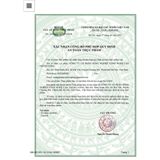  Trà Thảo Mộc Cà Gai Leo Túi Lọc SaDu - Thanh Mát, Giải Nhiệt, Gói 250gram 