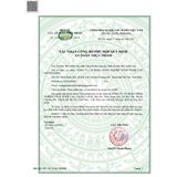  Cao Cà Gai Leo SaDu- Phù Hợp Cho Người Nóng Trong, Mẩn Ngứa, Quan Tâm Đến Sức Khoẻ Gan 