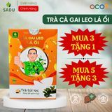  Hộp Trà Lá Ổi Cà Gai Leo SaDu -Hỗ trợ Người Chế Độ Ăn Hạn Chế Đường, Ăn Kiêng, Hộp 100gram 