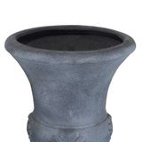  Chậu cup 