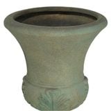  Chậu cup 