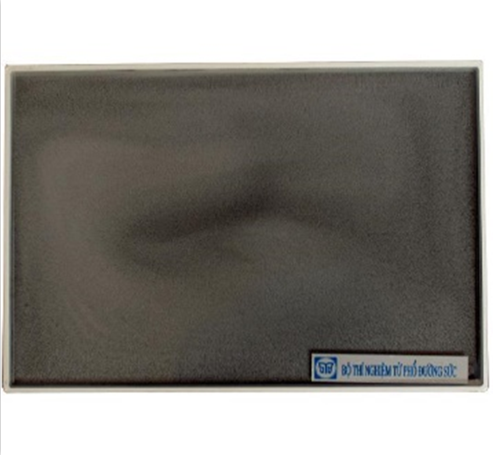  Hộp TN từ phổ đường sức (Lớp 9) 