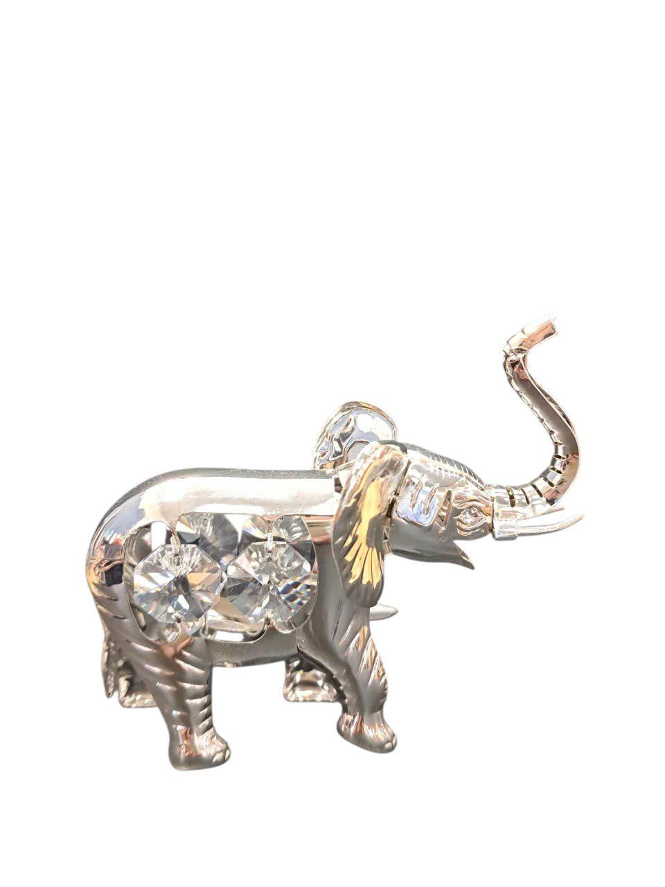  Voi thần phủ bạc (số 6) 