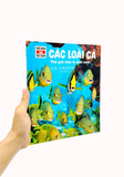  Thế Nào Và Tại Sao - Các Loài Cá - Thế Giới Diệu Kì Dưới Nước (Bìa Cứng) 